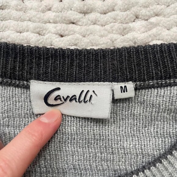 Men's Cavalli Classic Grey 90's Vintage Sweater - Size Medium - Picture 5 of 6